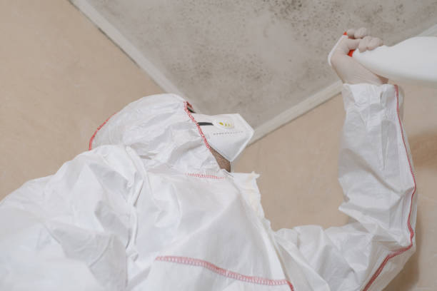 Best Asbestos and Lead Testing During Mold Inspection  in San Juan Bautista, CA